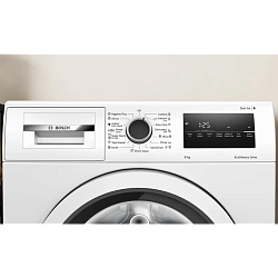 Paltaryuyan Bosch WAN24200ME