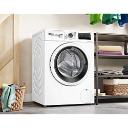 Paltaryuyan Bosch WAN24200ME