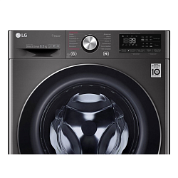 Paltaryuyan LG F2V9GW9P.ABLPCOM