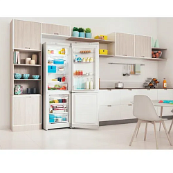 Soyuducu Indesit ITS 4180 W